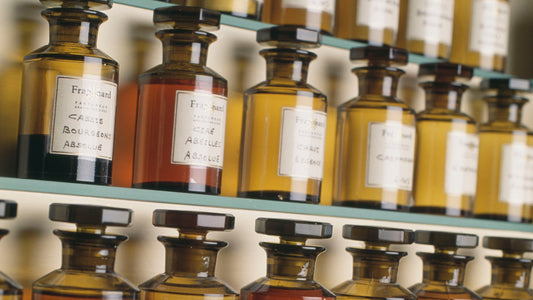 What Are Olfactory Families?